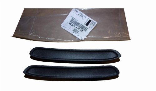Copertura paraurti anteriore 1632647980 Citroen C4 Cactus Originale