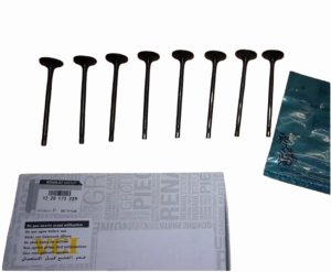 Valvole di aspirazione 1,2 16V 132017322R Nuovo Originale Renault Megane III