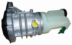 Pompa servosterzo 491103543R  Nuovo originale Master III