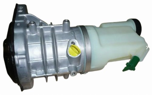 Pompa servosterzo 491103543R  Nuovo originale Master III