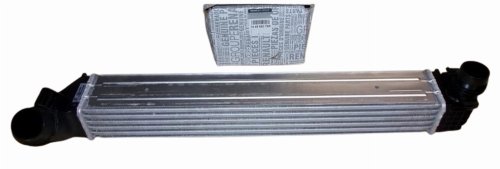 Radiatore aria 144966078R Renault Megane III 1.5DCI Originale
