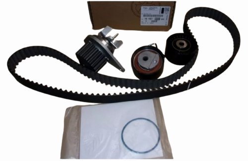 Distribuzione KPL.+ Pompa C C2 C3 C4 P 1007 206 1,4 16V 1610793380 Nuovo Originale