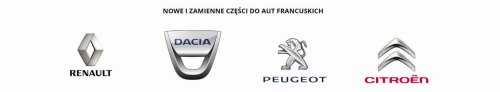 Sistema sterzante 490015MZ3B Renault Megane E-Tech Originale Nuovo
