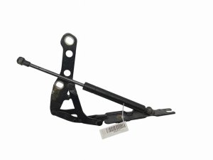 Cerniera cofano motore destra 7028578 Bmw