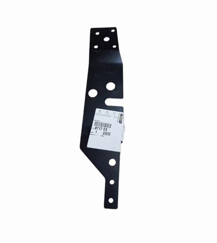 Rinforzo cerniera 8717.E3 8717E3 Sinistra posteriore Peugeot Boxer III Originale nuovo