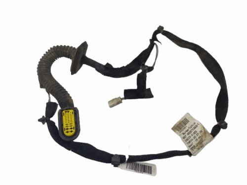 Installazione porta posteriore sinistra Renault Clio III Station wagon 8200715808 8200378842