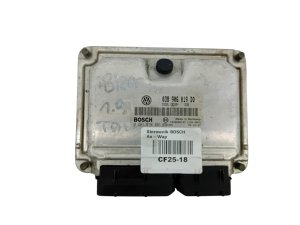 Centralina ECU 038906019DQ 0281010891 Volkswagen Seat