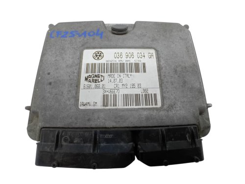 Controller 036906034GM  61601.068.01  IAW4MV.GM  Volkswagen, Seat, Skoda