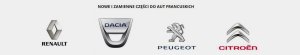 Ingranaggio 1617360880 Citroen Peugeot Nuovo Originale