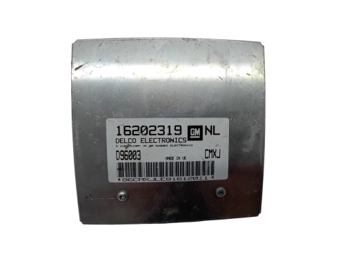 Centralina ECU 16202319 NL D96003 CMXJ Opel GM Delco