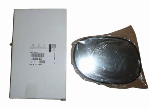 Inserto specchio 8151.GC 8151GC Citroen C2 C3 Originale Nuovo