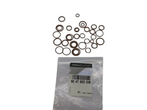 Guarnizioni climatizzatore 924750001R Nuovo OE Renault Master