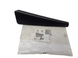 Copertura porta posteriore sinistra 9015R5 9015.R5 Peugeot 307 Originale Nuova