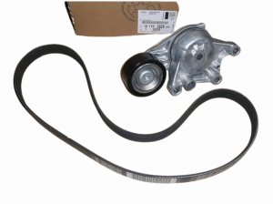 Set cinghia trapezoidale 1611503880 Citroen Peugeot 1.6HDI Originale Nuovo