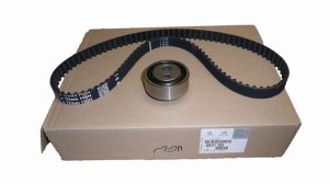 Distribuzione Kpl 0831Q5 0831.Q5 Citroen Peugeot 1.4/1.6 Originale Nuovo