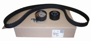 Distribuzione Kpl 0831.T0 0831T0 Citroen C5 Peugeot  406 2.0 16V HPI Originale Nuovo