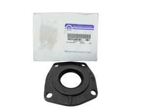 Guarnizione cuscinetto 9822498280 Nuova OE PSA Boxer