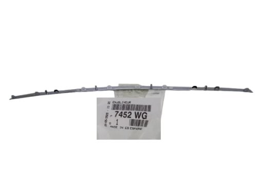 Banda paraurti posteriore 7452.WG 7452WG Citroen C5(X7) Hatchback Originale