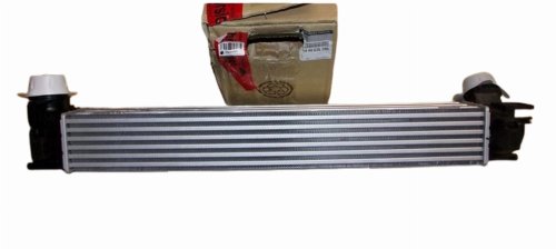 Radiatore aria 144963639R Renault Megane III Originale Nuovo
