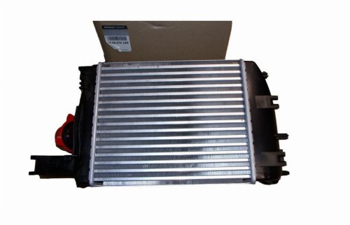Radiatore aria 144967634R Dacia Duster Originale Nuovo