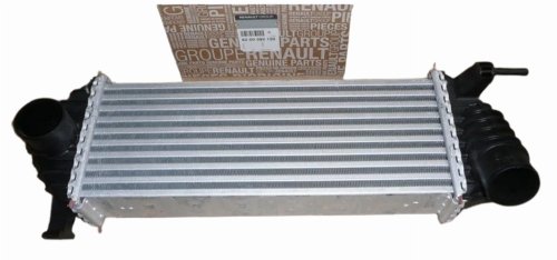 Radiatore aria 8200382109 Renault Kangoo II 1.5DCI Originale Nuovo