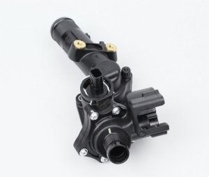 Termostato 1106000Q02 Renault 1.5DCI Originale Nuovo