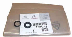 Guarnizioni di iniezione 198147 1981.47 Citroen Peugeot Originali Nuove