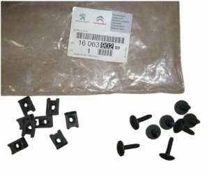 Set di viti per paraurti posteriore 1606390280 Citroen DS5 Originale Nuovo