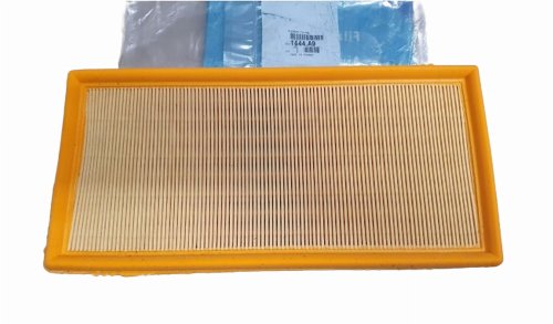 Filtro aria 1444.A9 1444A9 Peugeot 406 806 807 2.0 HDI Originale Nuovo