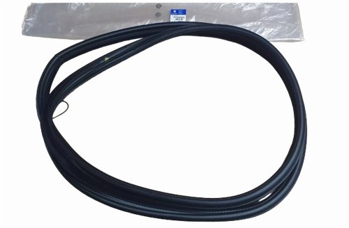 Guarnizione porta 9023.RE 9023RE Anteriore sinistra Peugeot 407 Originale Nuova