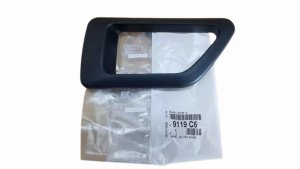 Cornice maniglia interna 9119C6 9119.C6 Sinistra anteriore Citroen Berlingo Originale Nuova