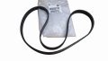 Pasek Klinowy 5PK 1150MM 55232450 Fiat 500 1.4 Oryginał Nowy