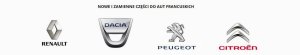 Cavo climatizzatore 924902956R Renault Nuovo Originale