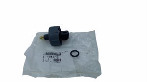 Sensore di presenza acqua nel carburante 191316 Citroen Peugeot 2.2HDI, 2.0HDI Originale
