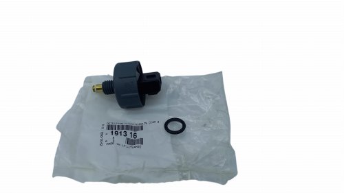 Sensore di presenza acqua nel carburante 191316 Citroen Peugeot 2.2HDI, 2.0HDI Originale