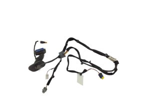 Cablaggio porta anteriore sinistra 8200504955 Usato Originale Renault Clio III