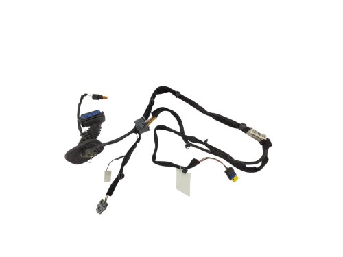 Cablaggio porta anteriore sinistra 8200504955 Usato Originale Renault Clio III