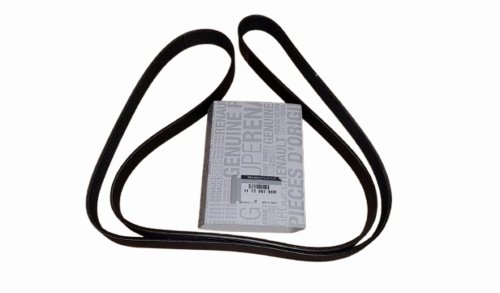 Cinghia trapezoidale 117206190R 7PK1792 Renault 1.9/2.2/2.5DCI/2.0 Originale Nuova