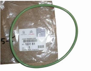 Guarnizione pompa carburante 1531.51 153151 Citroen Peugeot Originale Nuova