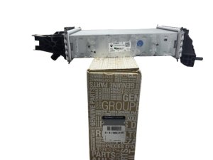 Radiatore aria 214106421R Renault Dacia 1.5DCI Originale