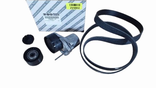 Set cinghia trapezoidale 6000616503 Fiat Talento 1.6 Originale Nuovo