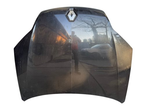 Mascherina Renault Laguna III  651000021R Vernice NV676 Usata Originale