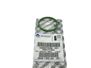 Guarnizione collettore di aspirazione 55272059 Fiat Ducato 2021> 2.2 Originale Nuovo