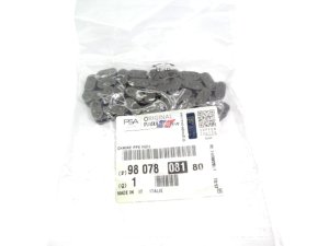 Catena pompa olio Peugeot Citroen 2,0HDI 9807808180