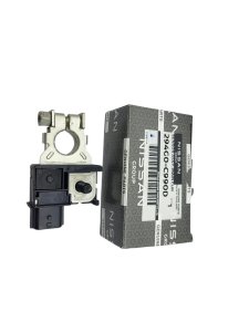 Morsetto negativo Renault originale 294G0C990D