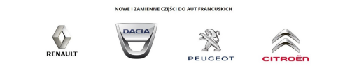 Alloggiamento filtro olio 1,3 CDTI 55238294  Citroën Peugeot Nuovo originale