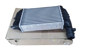 Scambiatore d'aria 0384.G8 0384G8 Peugeot Boxer II 2.8TD Originale Nuovo