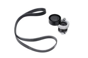 Tendicinghia poligona, set completo 1172001Q3A Renault 1.5 dCi 6PK1165, nuovo originale