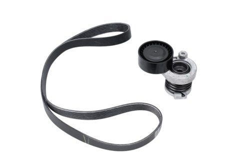 Tendicinghia poligona, set completo 1172001Q3A Renault 1.5 dCi 6PK1165, nuovo originale