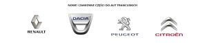 Turbocompressore 144107877R Renault Trafic III 2.0 dCi Nuovo Originale